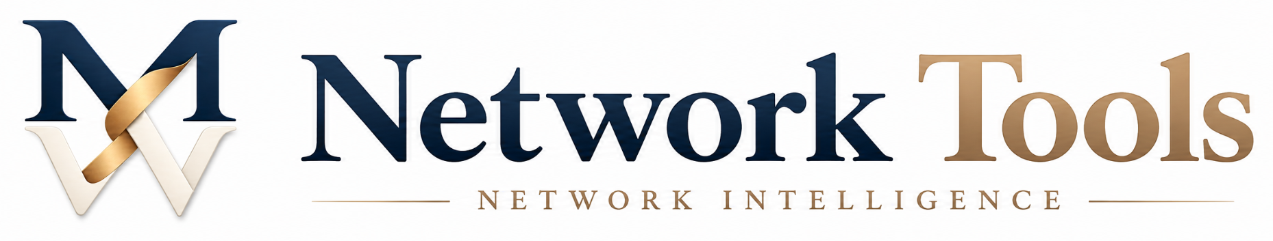 MeinWeb Network Tools – Network Intelligence